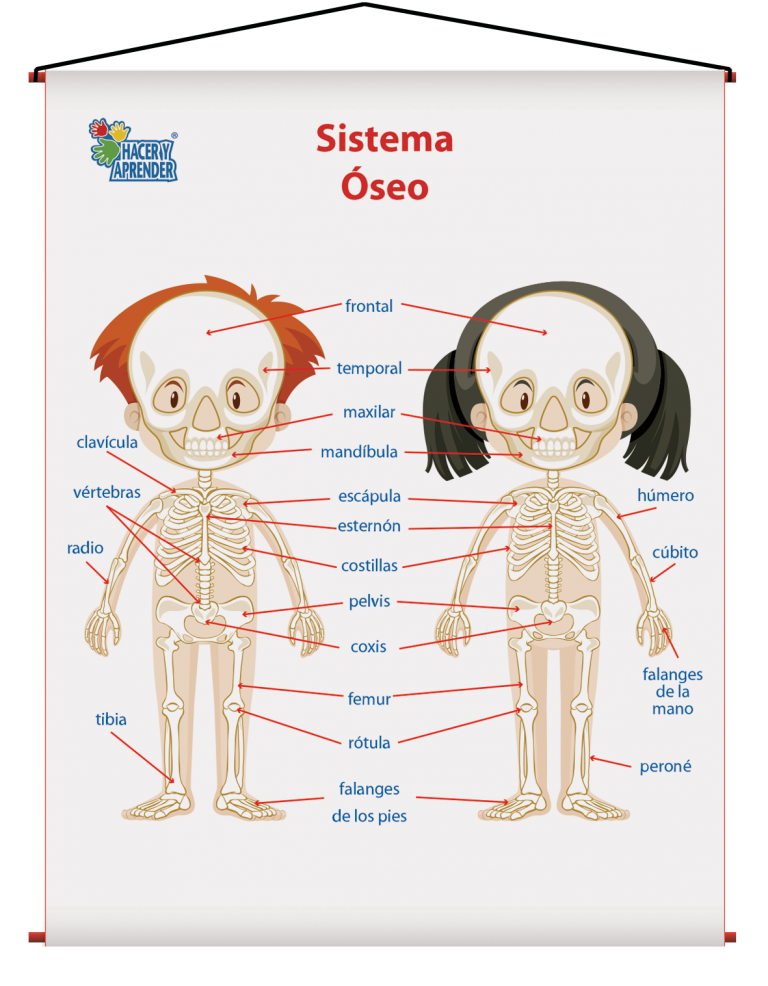 L Mina Did Ctica Sistema Seo Ni Os Did Cticos Caracol